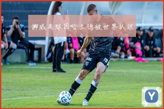 挪威足球因哈兰德被世界认识