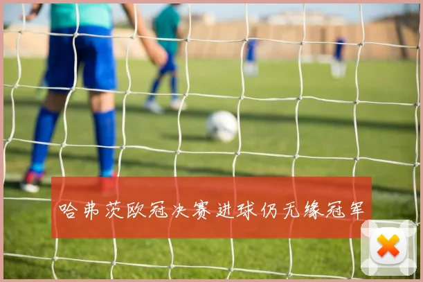 哈弗茨欧冠决赛进球仍无缘冠军
